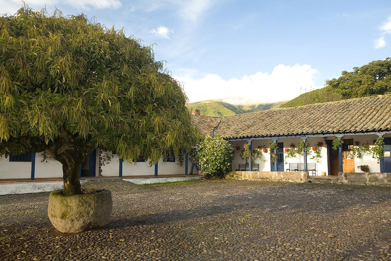 Hacienda Zuleta Exterior photo
